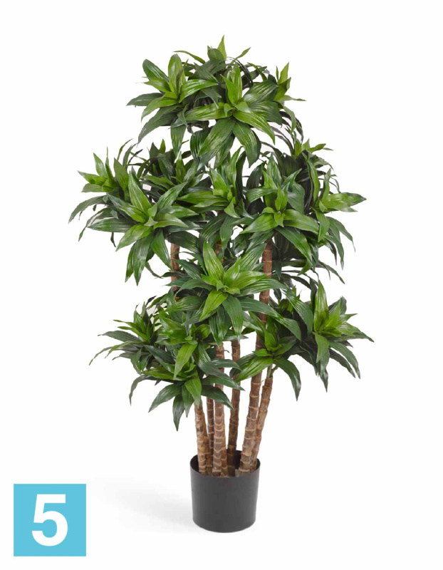 Драцена Компакта искусственная TREEZ Collection 120h