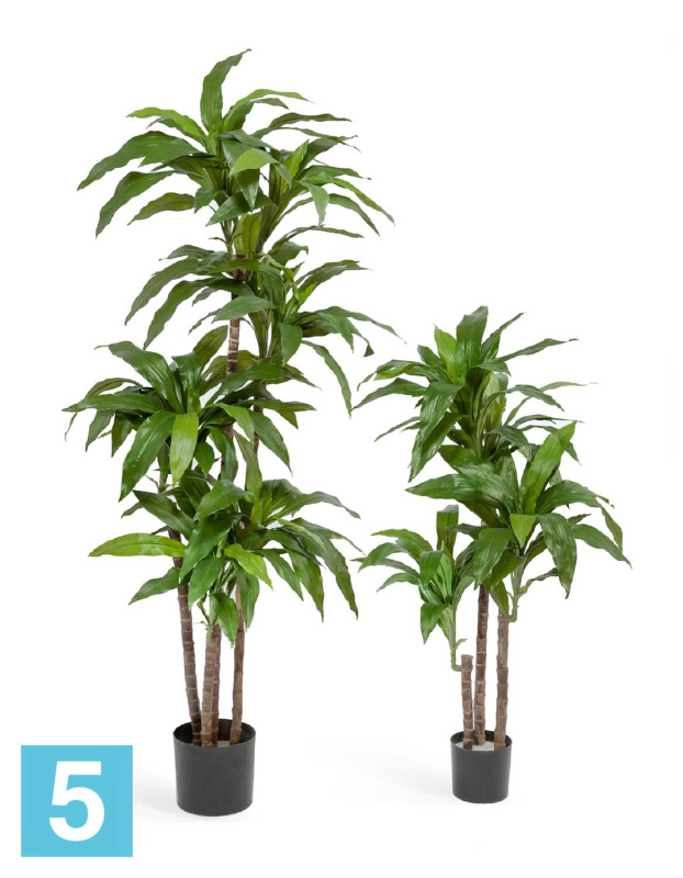 Драцена искусственная TREEZ Collection Джанет Крейг зеленая 150h