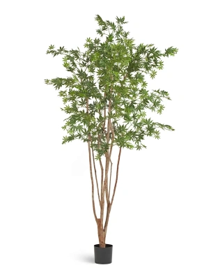 Искусственный клён японский Вайлд зелёный TREEZ Collection 180h