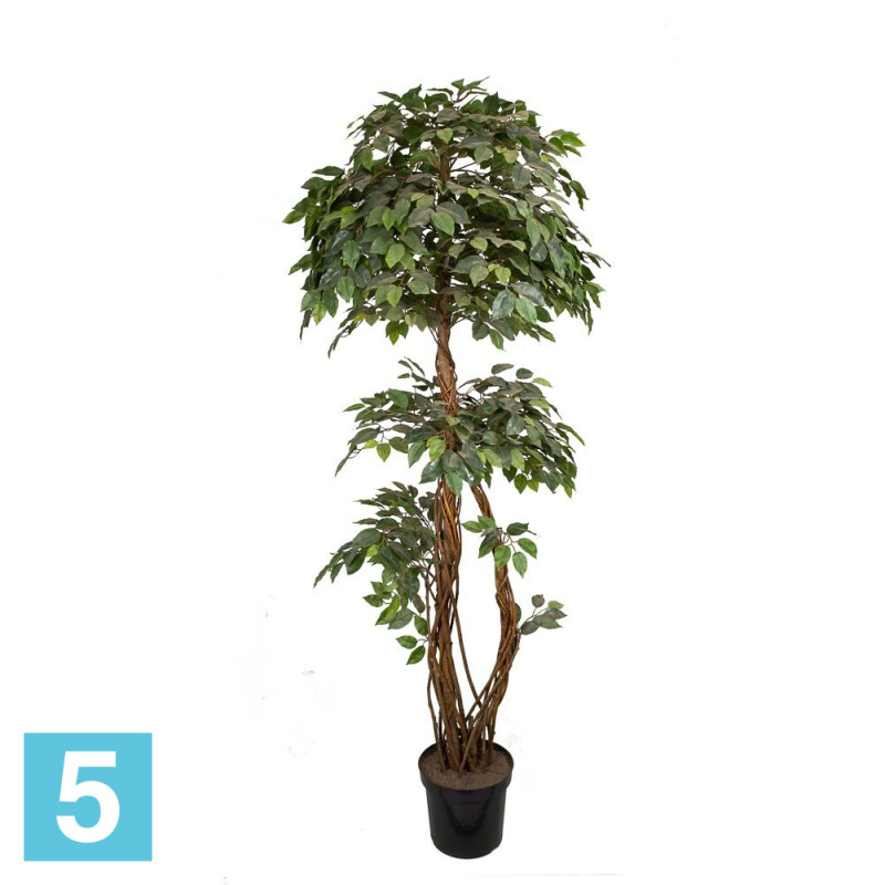 Фикус искусственный Alseed, h-190 см., латекс