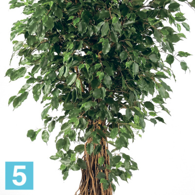 Фикус искусственный TREEZ Collection Бенджамина Лиана Де Люкс 180h в #REGION_NAME_DECLINE_PP#
