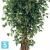 Фикус искусственный TREEZ Collection Бенджамина Лиана Де Люкс 180h Фикус искусственный TREEZ Collection Бенджамина Лиана Де Люкс 180h