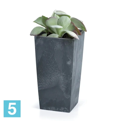 Кашпо Prosperplast URBI SQUARE BETON Effect, антрацит 27-l, 27-w, 50-h