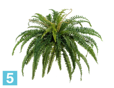 Искусственный Папоротник лесной TREEZ Collection 65-d, 45-h в #REGION_NAME_DECLINE_PP#