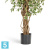 Фикус искусственный TREEZ Collection Гавайский Лиана пестролистный 150h