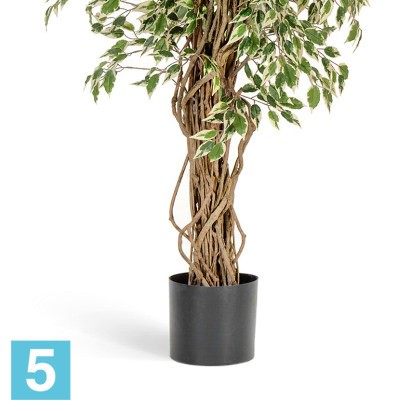Фикус искусственный TREEZ Collection Гавайский Лиана пестролистный 150h