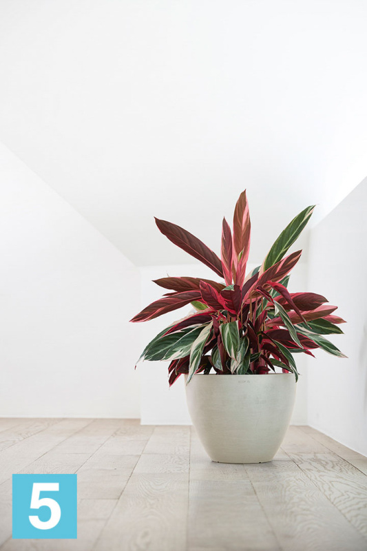 Напольное кашпо Ecopots Antwerp, светло-серое 50-d, 40-h