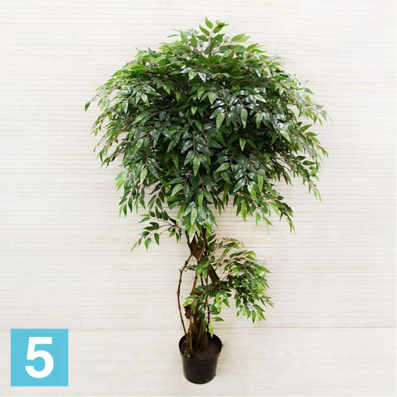 Фикус плакучая  см.оковница искусственный Alseed, h-200 см.