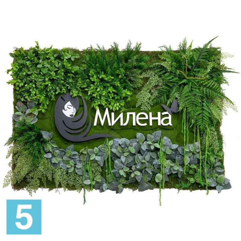 Фитокартина в белой крашенной раме искусственная Alseed, 1м*1м