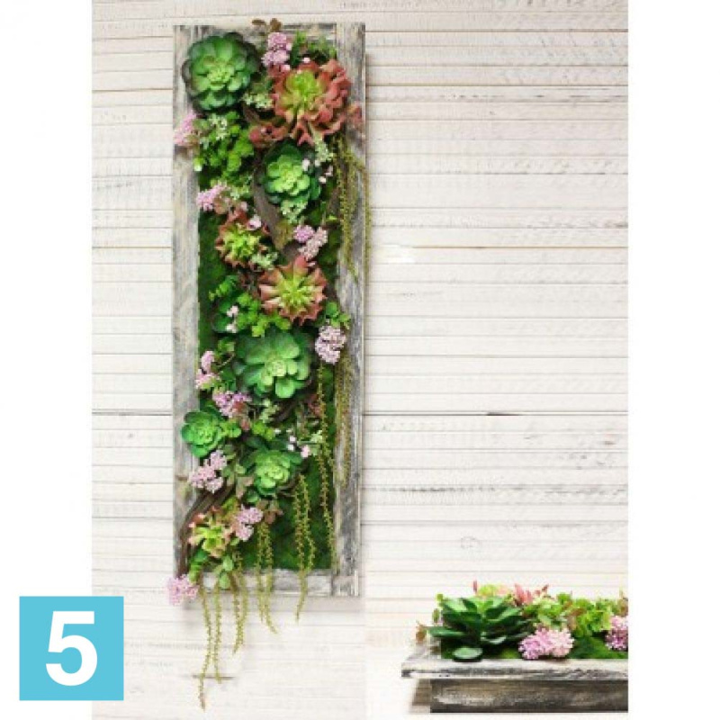 Фитокартина с суккул..в дер.раме искусственная Alseed, роз, 30*90