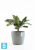 Напольное кашпо Ecopots Sankara, серое 40-d, 35-h Напольное кашпо Ecopots Sankara, серое 40-d, 35-h