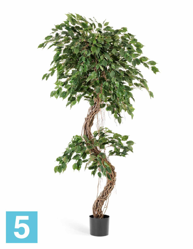 Фикус искусственный TREEZ Collection Бенджамина Коркскрю 180h