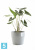Напольное кашпо Ecopots Sankara, серое 40-d, 35-h Напольное кашпо Ecopots Sankara, серое 40-d, 35-h