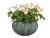 Кашпо TREEZ Effectory Aura Низкая Design-чаша, изумрудный лак 53-d, 31-h Кашпо TREEZ Effectory Aura Низкая Design-чаша, изумрудный лак 53-d, 31-h
