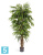 Лонгифолия Лиана Де Люкс искусственная TREEZ Collection 210h