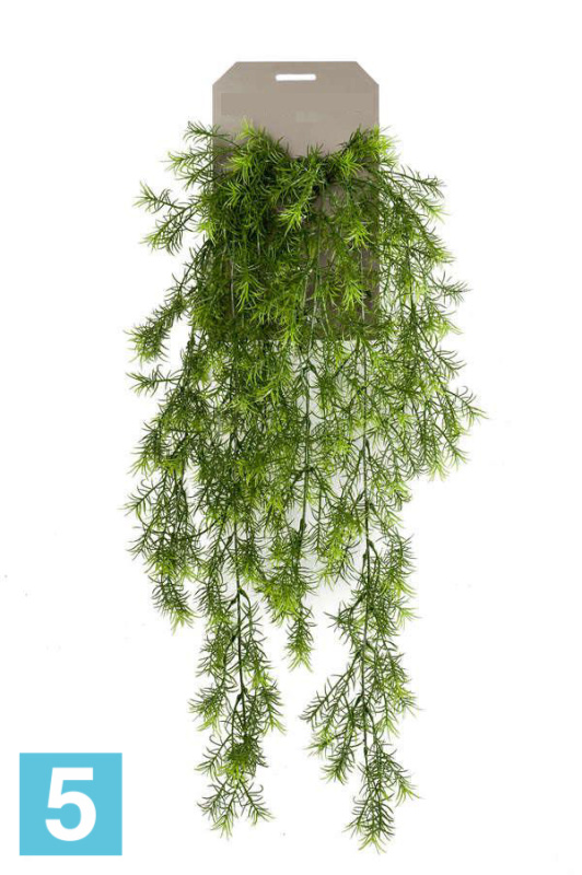 Аспарагус искусственный Шпренгера Sensitive Botanic (куст ампельный зеленый 6 веток)