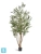 Олива искусственная TREEZ Collection Вайлд с плодами 220h