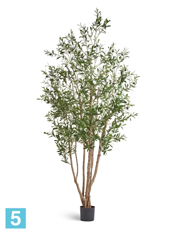 Олива искусственная TREEZ Collection Вайлд с плодами 220h