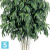 Лонгифолия широколистная многоствольная искусственная TREEZ Collection 270h