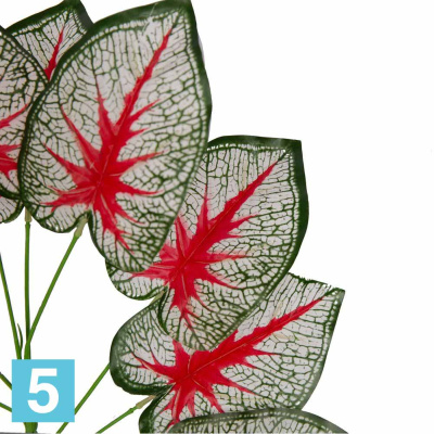 Куст Каладиума 9листов искусственный Alseed, h-45 см., бело-красный, Б
