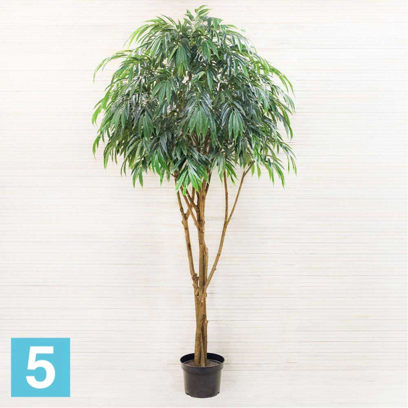 Лонгифолия искусственная Alseed, латекс, h-270 см.