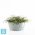 Напольное кашпо Ecopots Frankfurt, серо-голубое 50-d, 26-h