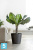 Кашпо с автополивом Ecopots Amsterdam, антрацит 40-d, 35-h
