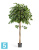 Фикус искусственный TREEZ Collection Бенджамина Зонтичный 180h