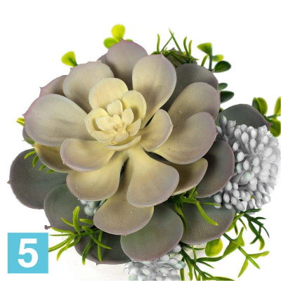 Суккулент искусственный Alseed, х1, в кашпо, d-17 см.