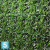 Фитостена искусственная Alseed, вытянутая, однотонная