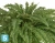 Искусственный Папоротник Бостон Новый Лардж свисающий TREEZ Collection 125-h