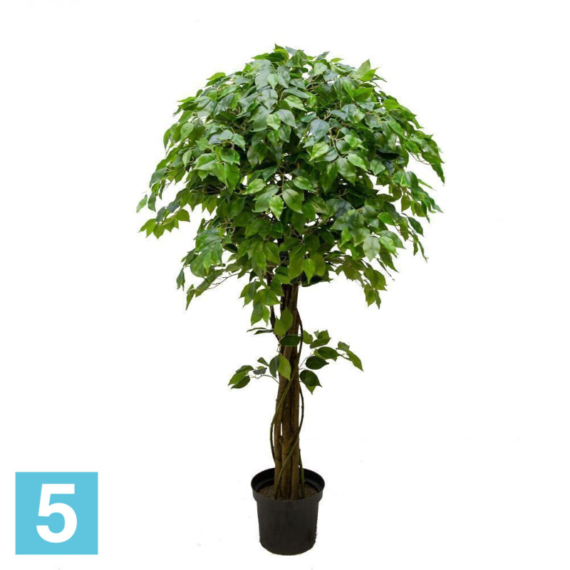 Фикус искусственный Alseed, h-160 см., латекс, с плетеным стволом