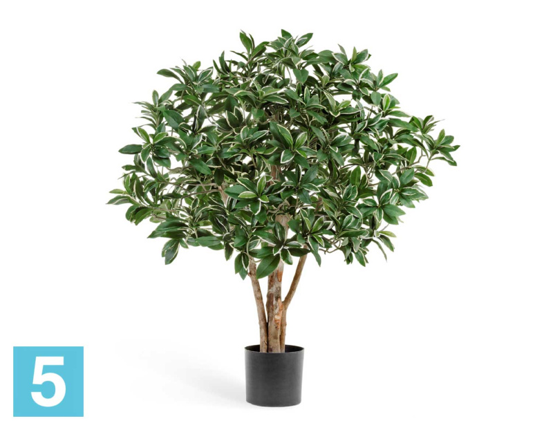 Эонимус искусственный TREEZ Collection (Бересклет) Японский 75h