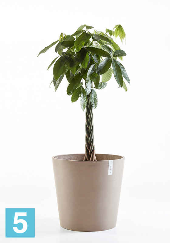 Напольное кашпо Ecopots Amsterdam, серо-коричневое 50-d, 44-h