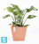 Напольное кашпо Ecopots Rotterdam, терракотовое 40-l, 40-w, 35-h