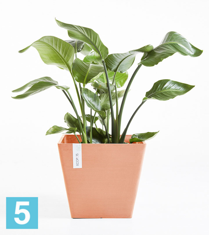 Напольное кашпо Ecopots Rotterdam, терракотовое 40-l, 40-w, 35-h