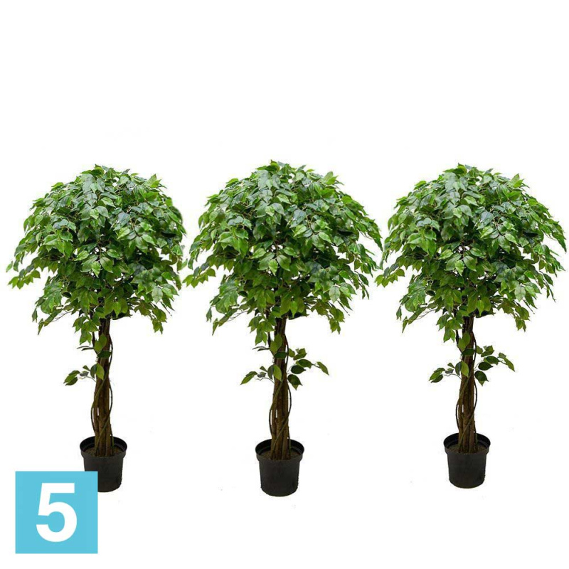 Фикус искусственный Alseed, h-160 см., латекс, с плетеным стволом