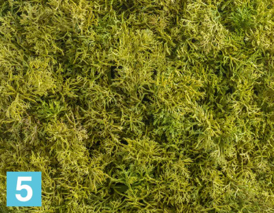 Мох Ягель светло-зелёный микс (коврик) искусственный TREEZ Collection 50h в #REGION_NAME_DECLINE_PP#