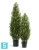 Туя искусственная TREEZ Collection Эйр Элеганс уличная 210h Туя искусственная TREEZ Collection Эйр Элеганс уличная 210h
