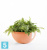 Настольное Кашпо Ecopots Brussels, терракотовое 30-d, 14-h