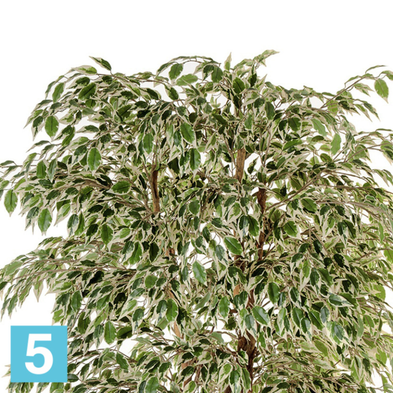 Фикус искусственный TREEZ Collection Гавайский Лиана пестролистный 120h