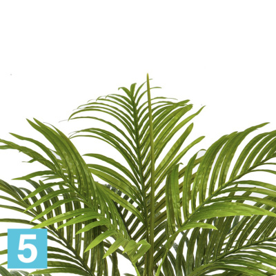 Пальма искусственная TREEZ Collection Арека Бетель 110h в #REGION_NAME_DECLINE_PP#