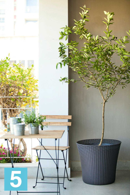 Кашпо Keter Conic, виски коричневое 54-d, 49-h