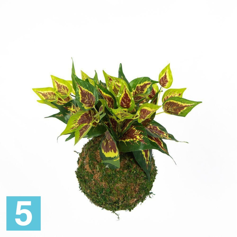Кокедама искусственная Alseed, d-15 "Колеус", латекс