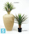 Юкка Рострата Мини искусственная TREEZ Collection 3 ствола 70h