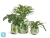 Кашпо TREEZ Effectory Savage Garden Design-ваза Botanical, белое с зеленым 43-d, 62-h