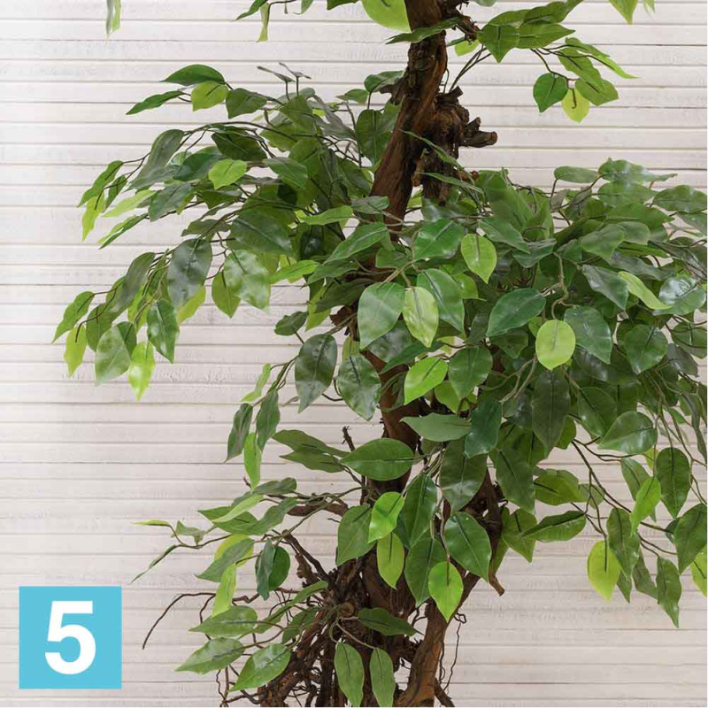 Фикус искусственный Alseed, латекс, с корнями, h-170 см.