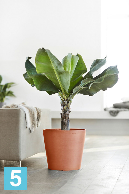 Большое кашпо на колёсиках Ecopots Amsterdam, терракотовое 80-d, 72-h
