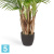 Пальма искусственная TREEZ Collection Арека Бетель 5 стволов 170h