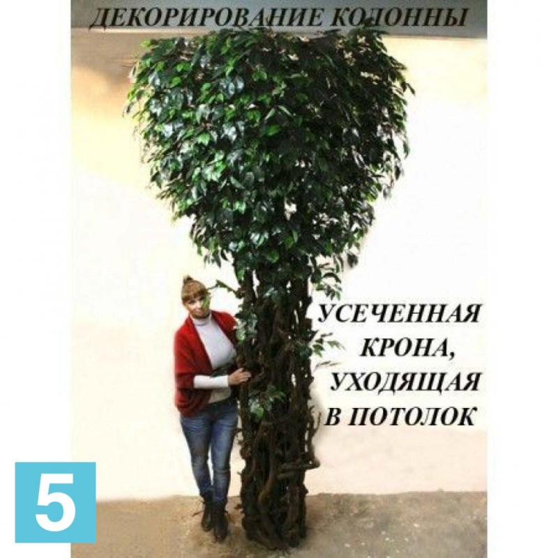 Фикус искусственный Alseed, латекс